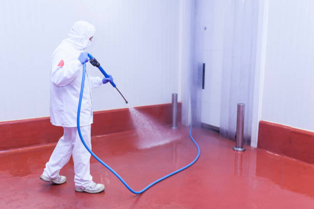 Best Residential Pressure Washing in Benton Park, CA